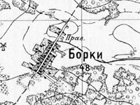 Борки, Боркі