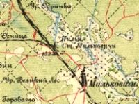 Мальковичи, Малькавічы