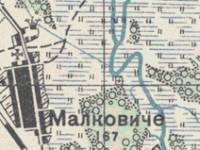 Мальковичи