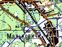 Мальковичи